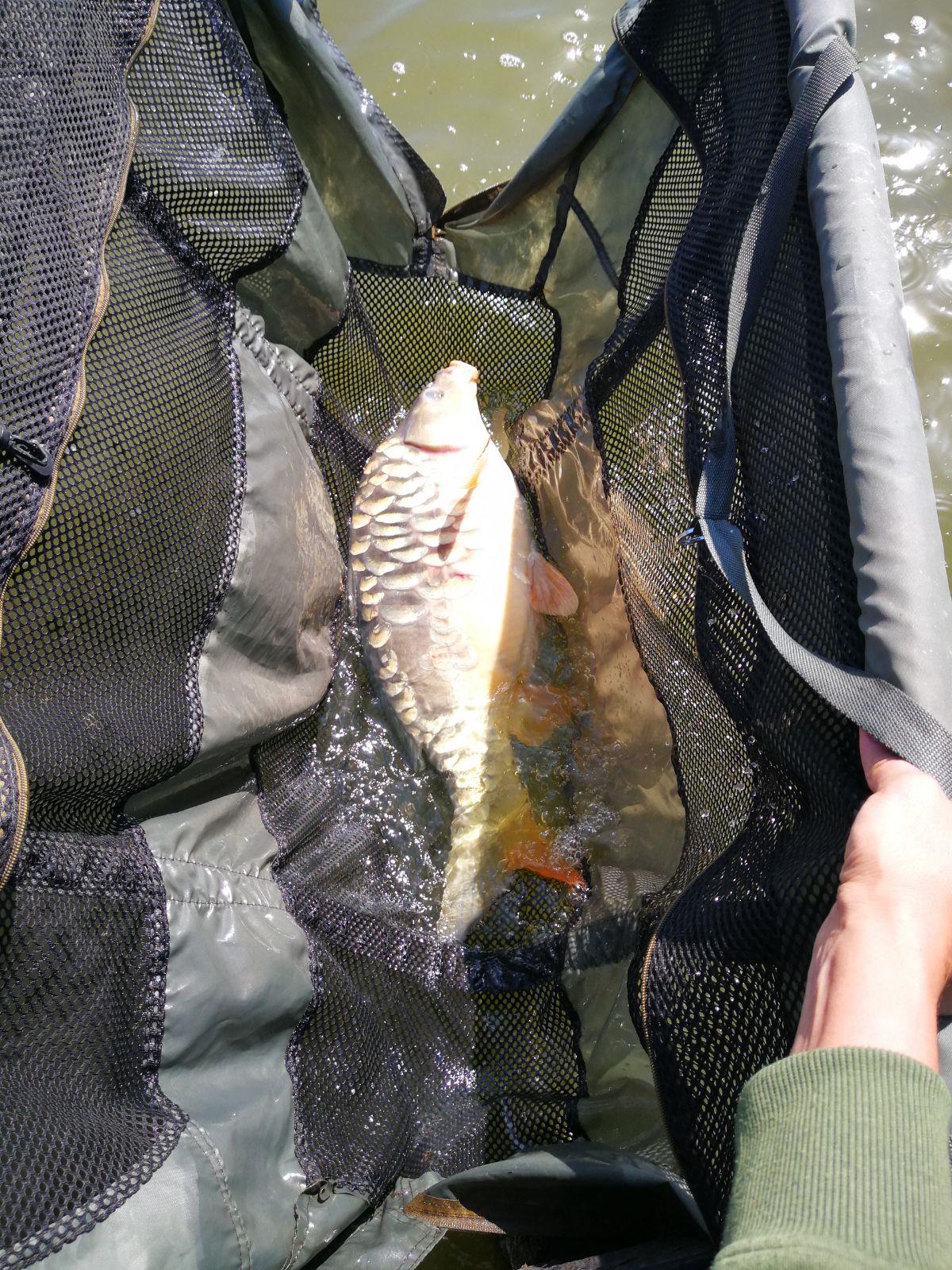 Pescuit Candeasca Bazinul 1 /11-13.04.18 - img-20180412-wa0007.jpg